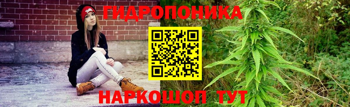 Канабис VHQ  Вход с VPN  Бошки Шишки Ganja  Каменка 
